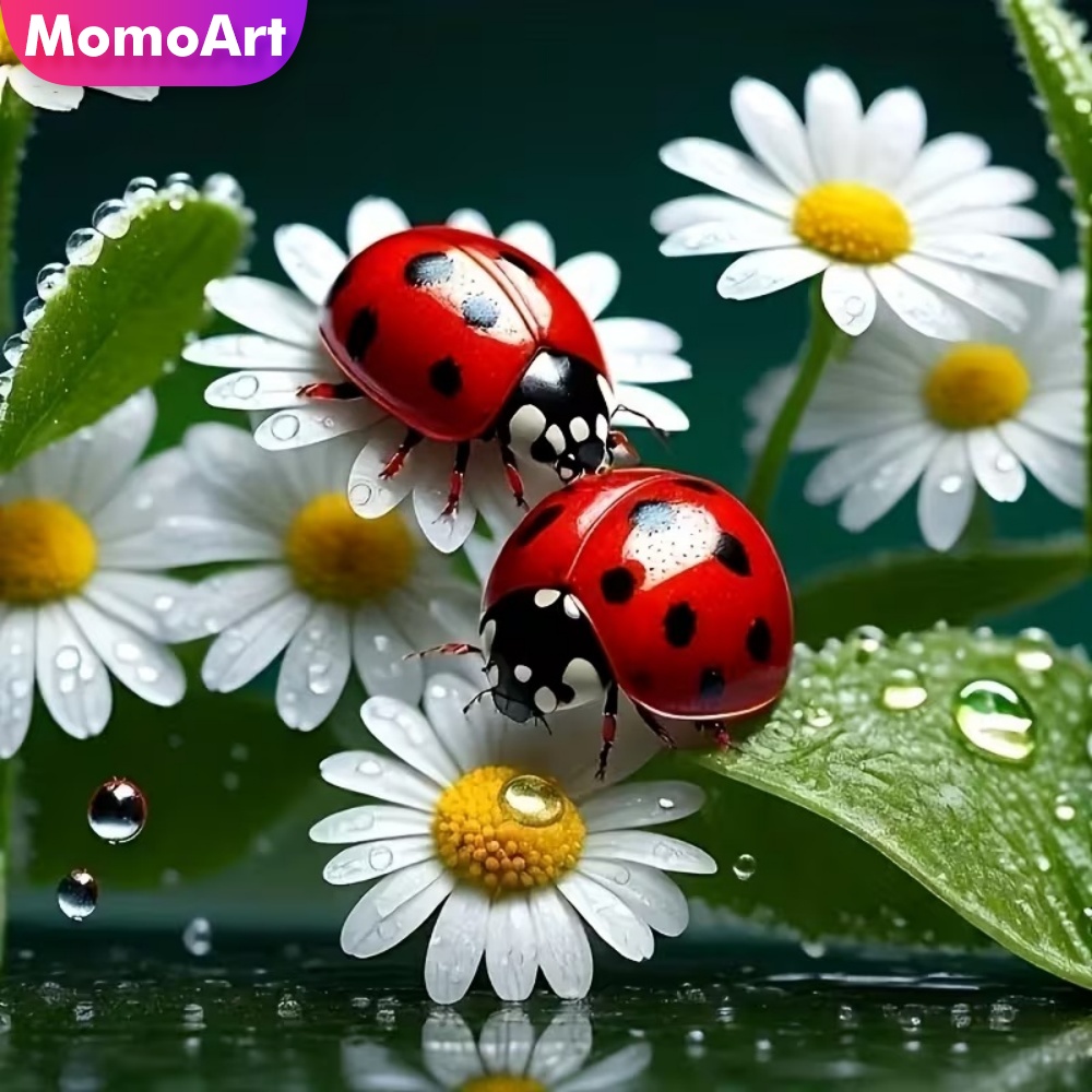 Momoart Diamond Painting Ladyb - Resin Craft For Beginners recension och pris
